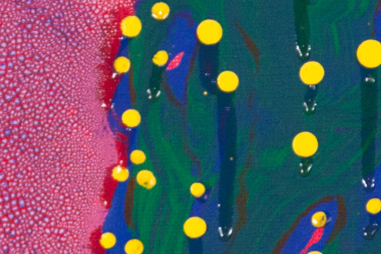 The Little Lemon Tree